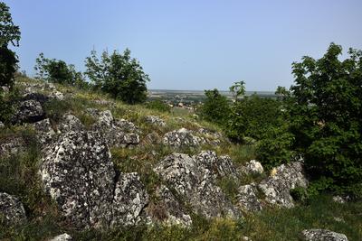 Nagyharsány-stock-photo