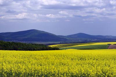 Nógrádi táj-stock-foto