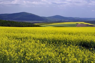 Nógrádi táj-stock-foto