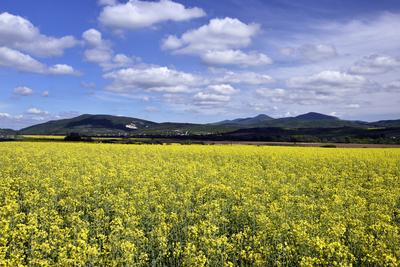 Nógrádi táj-stock-foto