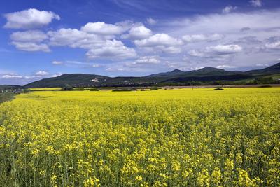 Nógrádi táj-stock-foto