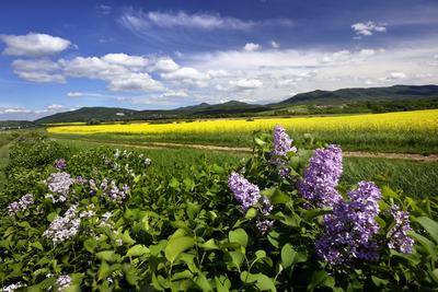Nógrádi táj-stock-foto