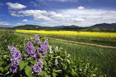 Nógrádi táj-stock-foto