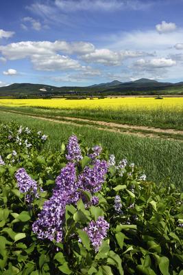 Nógrádi táj-stock-foto