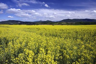 Nógrádi táj-stock-foto