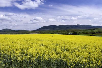 Nógrádi táj-stock-foto