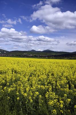 Nógrádi táj-stock-foto