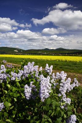 Nógrádi táj-stock-foto