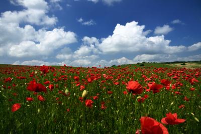 Nógrádi táj-stock-foto