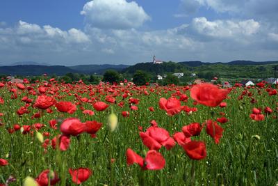 Nógrádi táj-stock-foto