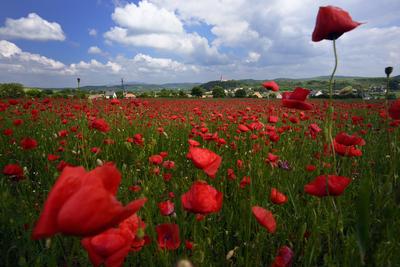 Nógrádi táj-stock-foto
