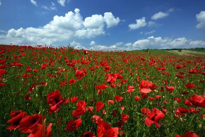 Nógrádi táj-stock-foto