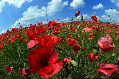 Nógrádi táj-stock-foto