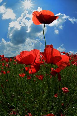 Nógrádi táj-stock-foto