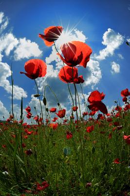 Nógrádi táj-stock-foto