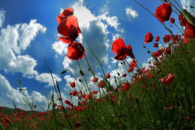 Nógrádi táj-stock-foto