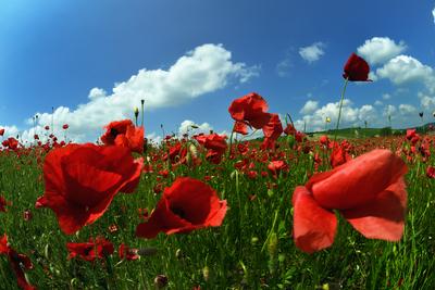 Nógrádi táj-stock-foto