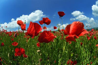 Nógrádi táj-stock-foto