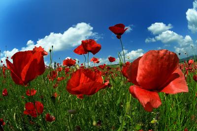 Nógrádi táj-stock-foto