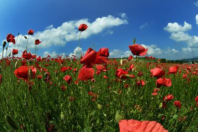 Nógrádi táj-stock-foto