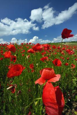 Nógrádi táj-stock-foto