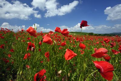 Nógrádi táj-stock-foto