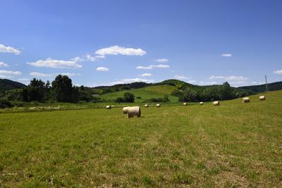 Nógrádi táj-stock-foto