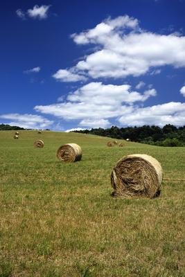 Nógrádi táj-stock-foto