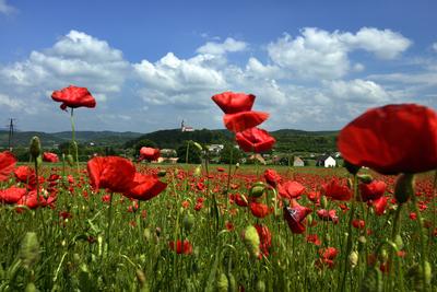Nógrádi táj-stock-foto