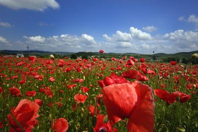 Nógrádi táj-stock-foto
