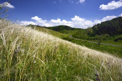 Nógrádmegyer-stock-foto