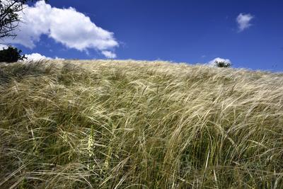 Nógrádmegyer-stock-foto