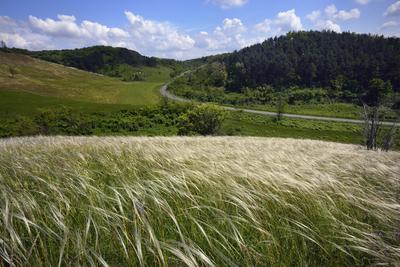 Nógrádmegyer-stock-foto