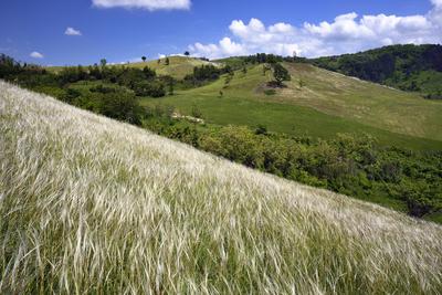 Nógrádmegyer-stock-foto