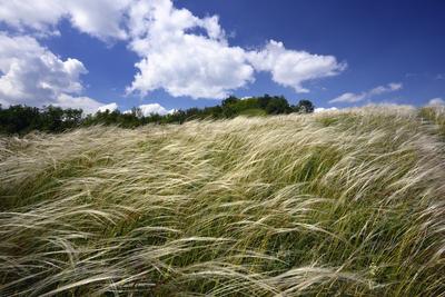 Nógrádmegyer-stock-foto