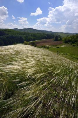Nógrádmegyer-stock-foto