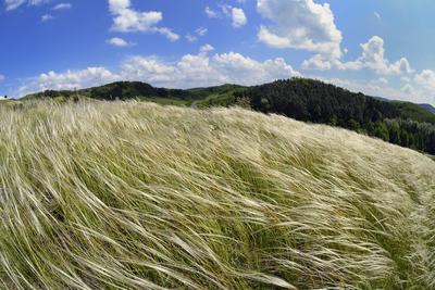 Nógrádmegyer-stock-foto
