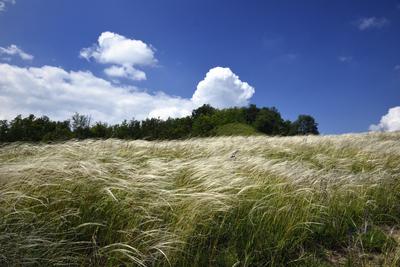 Nógrádmegyer-stock-foto