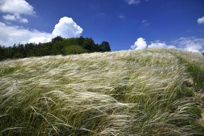 Nógrádmegyer-stock-foto