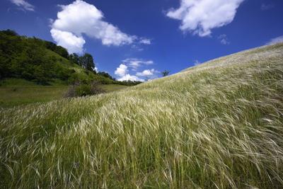 Nógrádmegyer-stock-foto