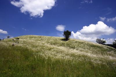 Nógrádmegyer-stock-foto