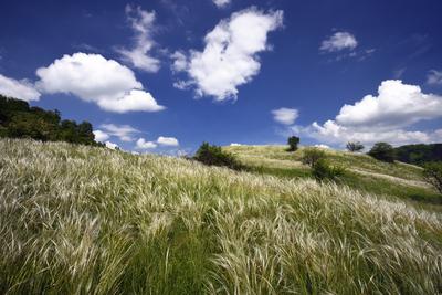 Nógrádmegyer-stock-foto