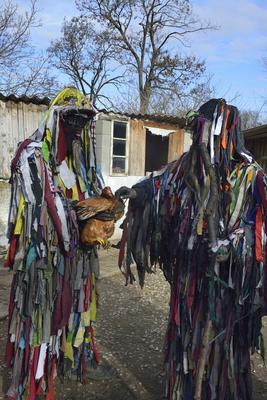 Tikverőzés Mohán-stock-foto