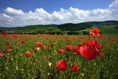Nógrádi táj-stock-foto