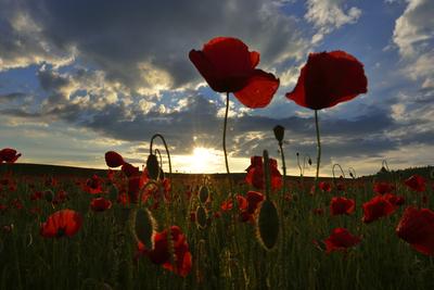 Nógrádi táj-stock-foto