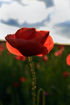 Nógrádi táj-stock-foto