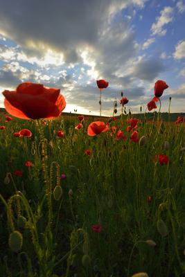 Nógrádi táj-stock-foto