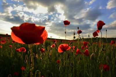 Nógrádi táj-stock-foto