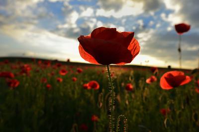 Nógrádi táj-stock-foto