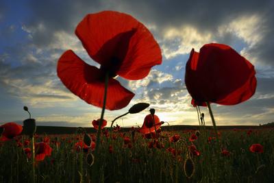 Nógrádi táj-stock-foto